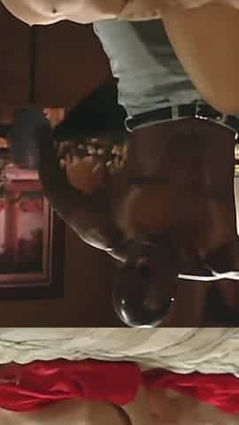 Interracial Fuck for a White Slut