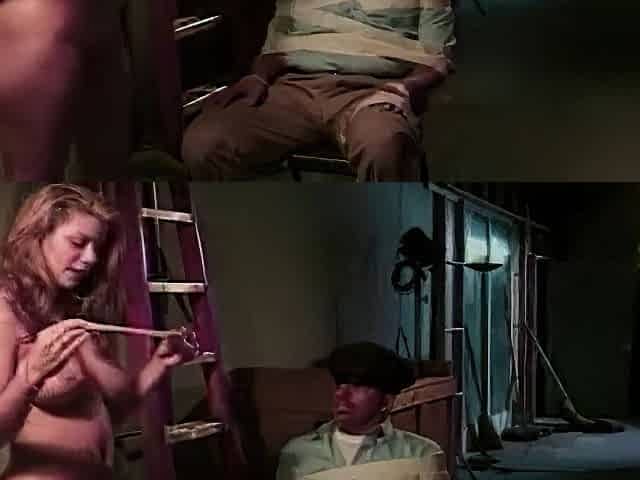 Julian St. Jox - Tempting Blonde Babe Fucks Horny Guard Until A Facial Cumshot