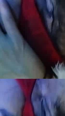 Homemade Sexy Lady Play Pussy with Dildo Hairy Mature Pussy