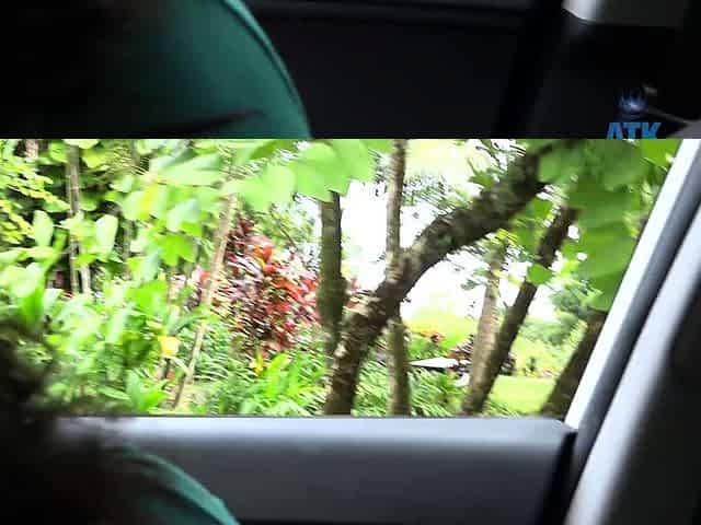 Amateur hottie fucked outdoor in public