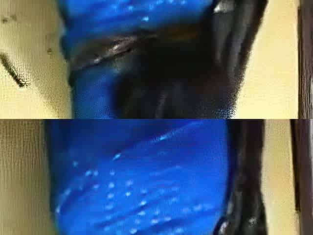 Big-Ass Indian Aunty in Blue Saree