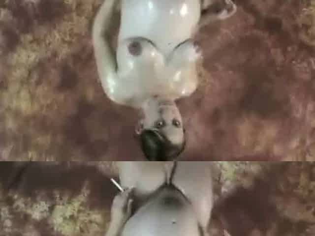Smoking 113