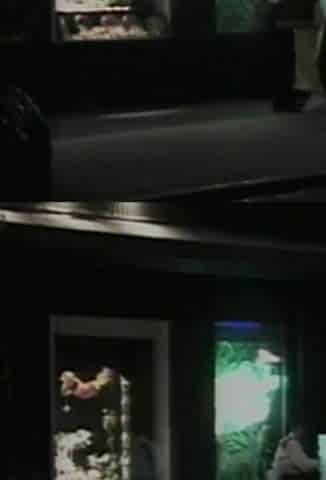 Public Toilet Quickie with Moaning Slut