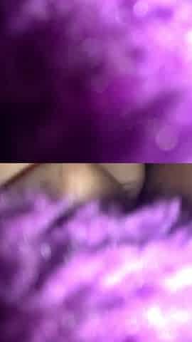 Pussy Finger Fuck Hot Arab Girl Oiled Pussy POV