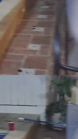Swingers and porn stars have a pool side orgy