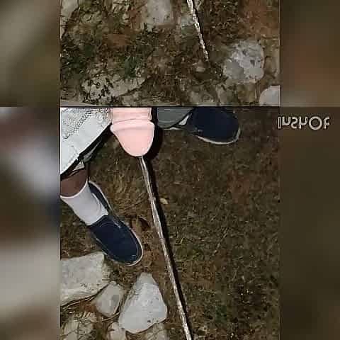 Pee Compilation 8 Vids