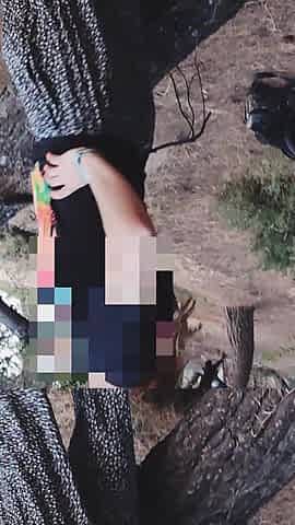 Very Risky Fucking in the Forest with Cute Sea Views