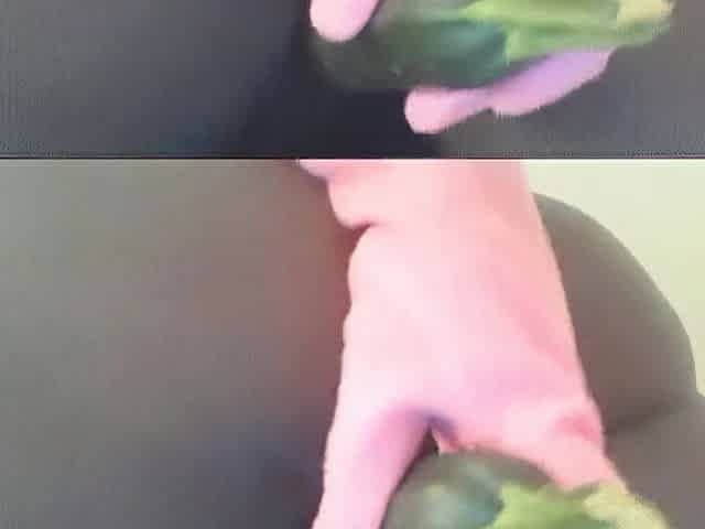 Doggystyle with vegetables
