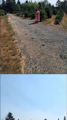 Enjoying my morning by taking a short walk then I had to pee