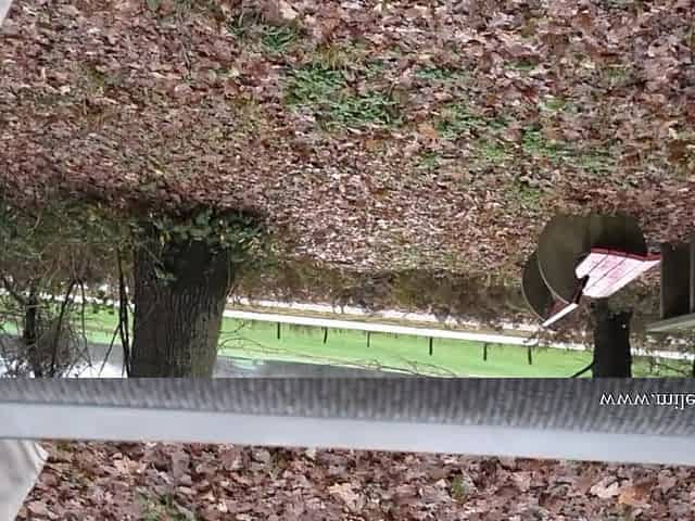 Hot German Blonde Gets Fucked in Public