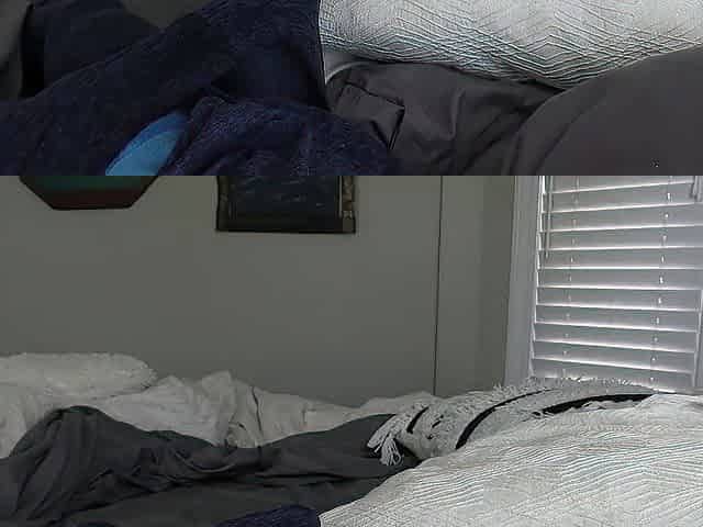 Milf Pov Big Cock Blowjob