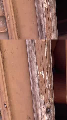 I Caught My Neighbor Changing Her Clothes. Then We Ended up Having Sex in Her Husband's Bed