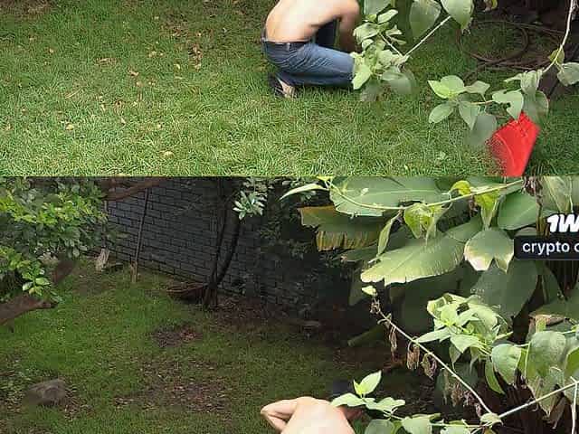 Built gardener is hired by brunette hair mother I'd like to fuck and does specific jobs for her