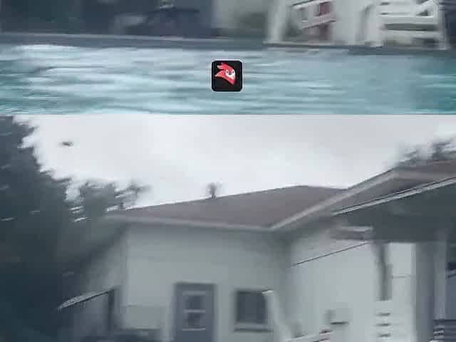 Having sex in a public pool during the hurricane live action