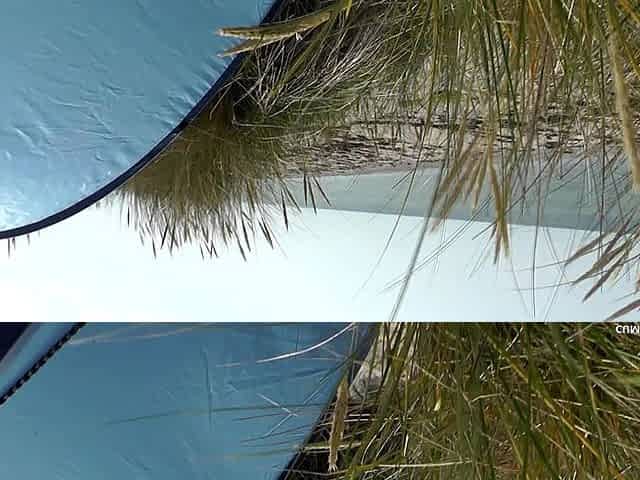 Creampied by Many Strangers on the Beach