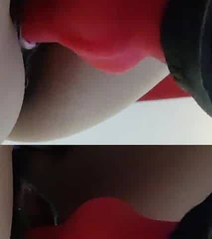 Dingo knot toy palying with oriental wife