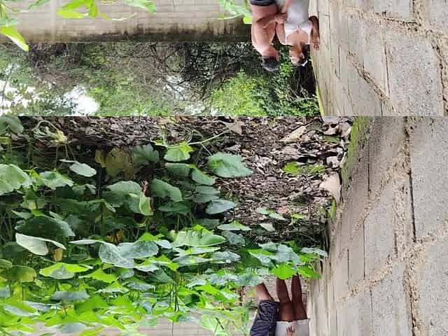 We nearly got caught banging a Mexican neighbour outdoors