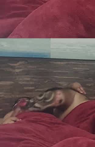 Young Bengali Pooja Bhabhi wearing blue lipstick sucked husband's cock and got fucked hard by her husband, clear hindi audio