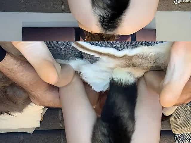 Teen Foxgirl pleases her male