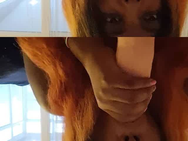 Ebony angel suck large dick