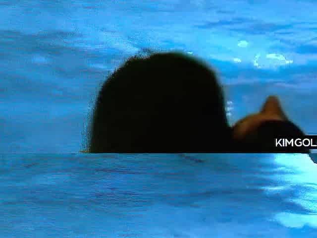 Heisse Pool-Orgie mit oralen Freuden