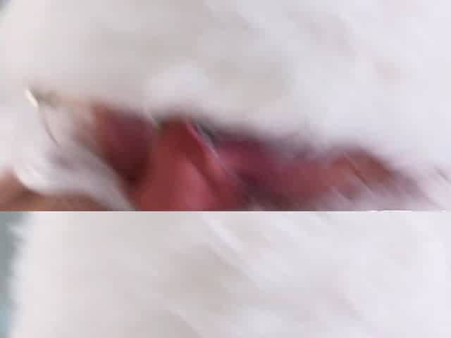 My big dick santa fucks me so rough