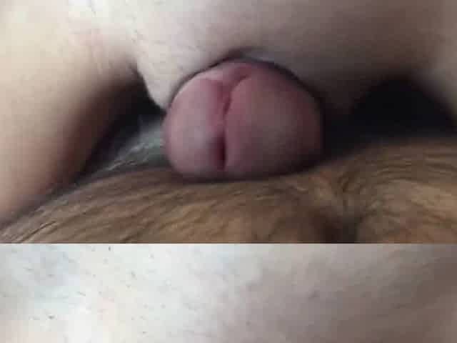 only-cumshot-
