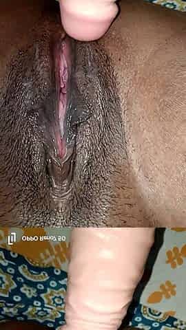 Desi Pussy