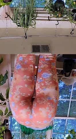 Amateur Teen Coed In Panties