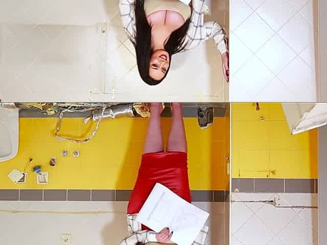 Free Surprise