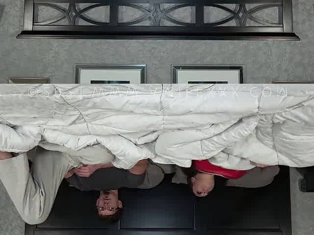 Looks Like We Have To Share A Bed Stepsister Should We