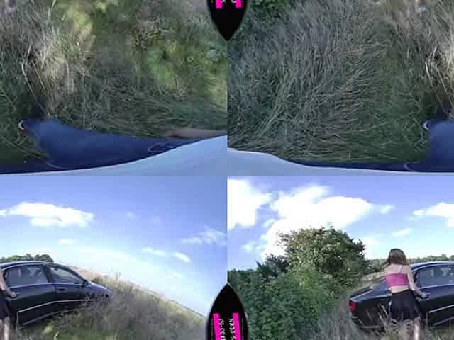 Afternoon Sex In The Car