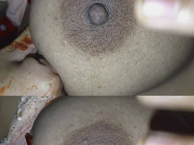 Stepmother and stepson fucking Dhaka Bangladesh Bangla clear audio