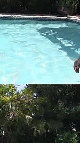 Rome Major Hotwife Deepthroat Pool Session