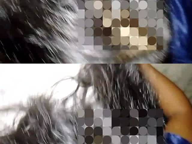 Indian Bangla Girl Step Brother's Hard Fuck