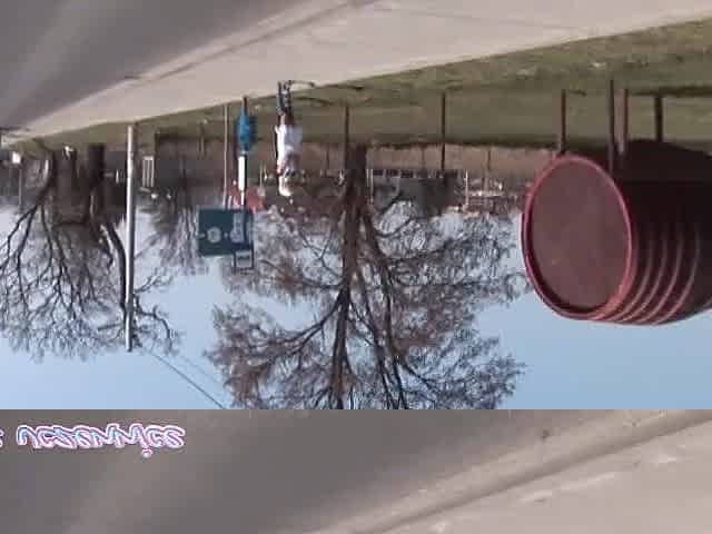 Polish porn movie scenes - Spring bang in the glade