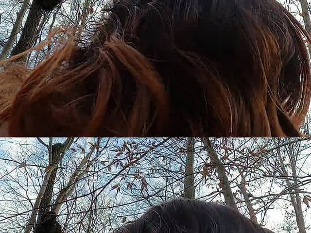 Vagina play in the Blair witch woods