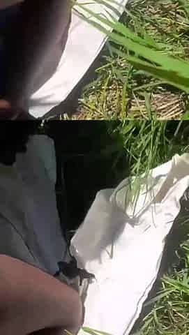 Couple Sex in the Middle of a Safari Tour
