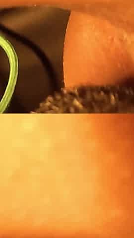 Christmas Day Sex with Indian Girlfriend Siya Hindi