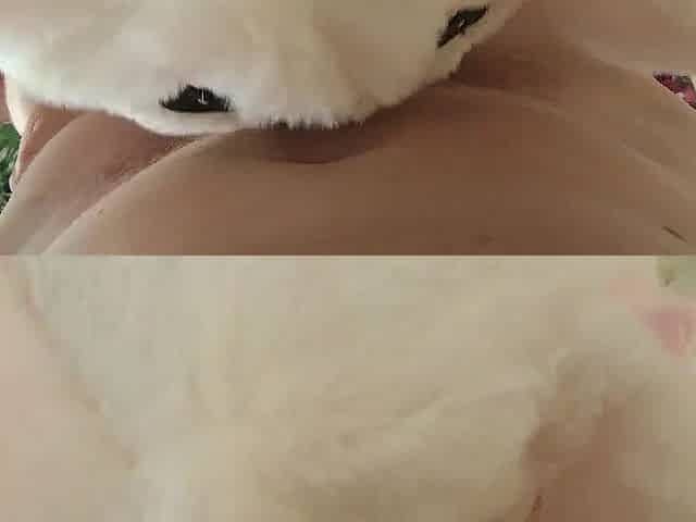 Sucking her spouse's hirsute shlong - home fur style