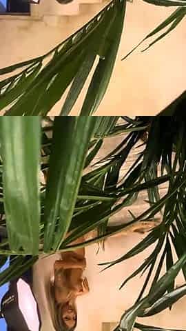 Monika Fox Mexican Heat Photoshoot Backstage