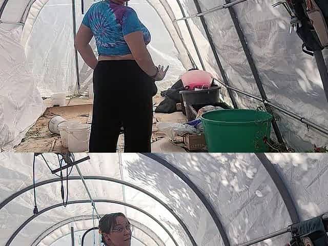 Obese Angel Getting Stripped Out In The Greenhouse