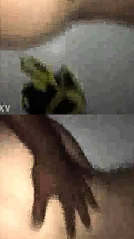 Hot mature milf bangs black cock in Hot Wife Porn Video oo