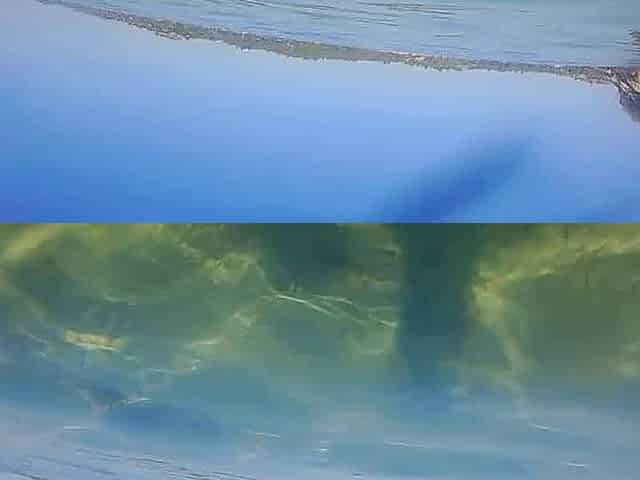 Underwater Sex and Creampie Vagina Cleaning