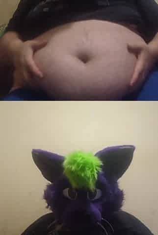 Big fat furry plays with massive belly