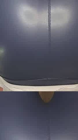 Blue Leather Farts: Moist, Muffled, and Stinky