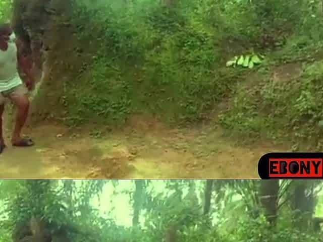 That guy hook me up in the Bush to cheat on her girlfriend