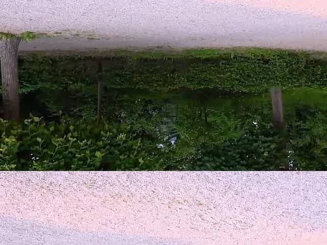 German Blowjob Date in Public Park (RISKY)