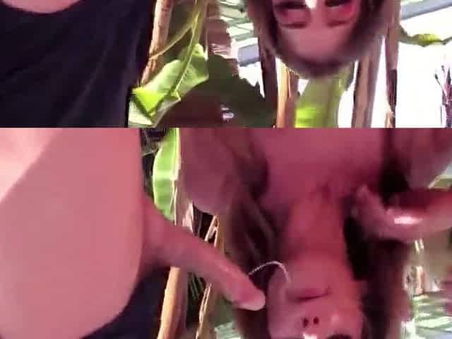 Sweetheart gets banged in the butt by 2 men