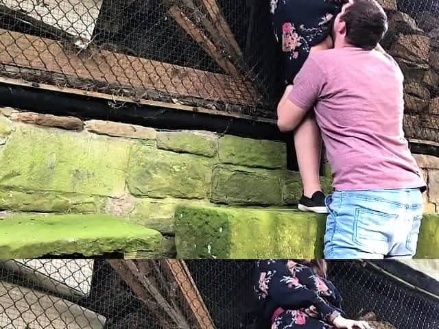 Chubby girlfriend fucked in park